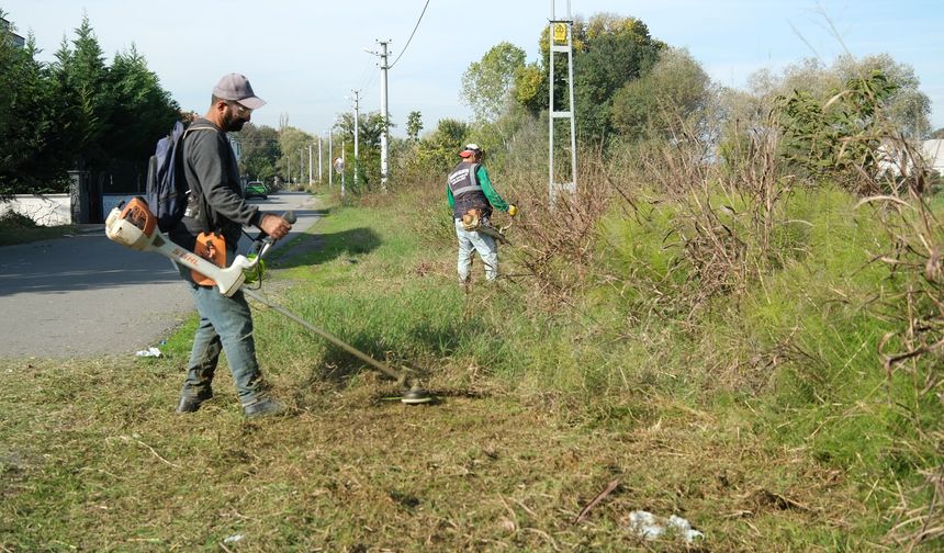 Serdivan’da Yeşil Alanların Bakımı Sürdürülüyor