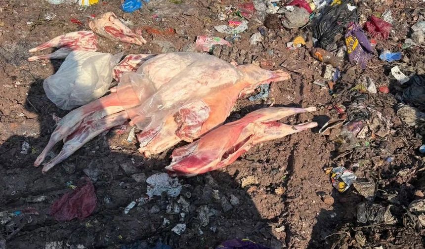 Kuzey Marmara Otoyolu'nda 130 kilo kaçak et ele geçirildi