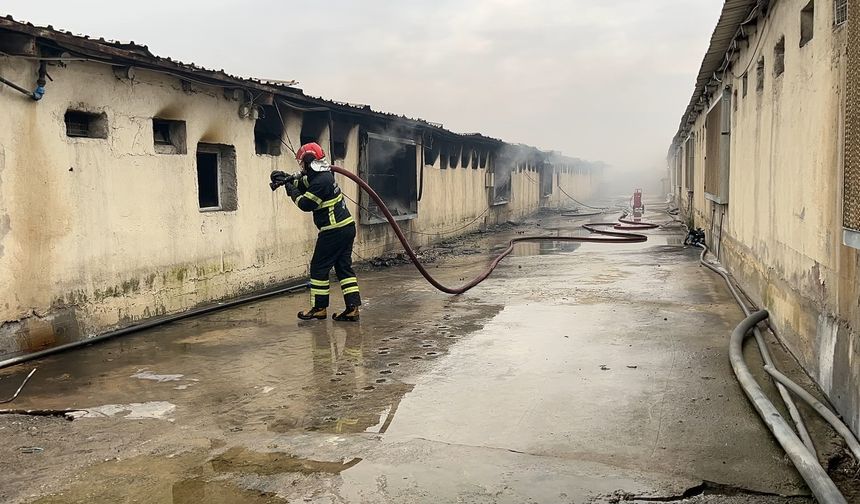 Tavuk çiftliğinde korkutan yangın!