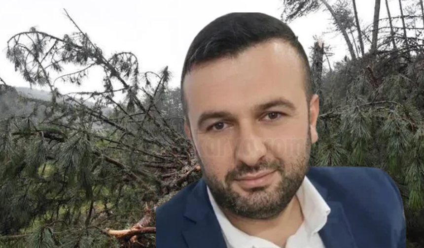 Devrilen ağacın altında kalan işçi yaşam mücadelesini kaybetti!