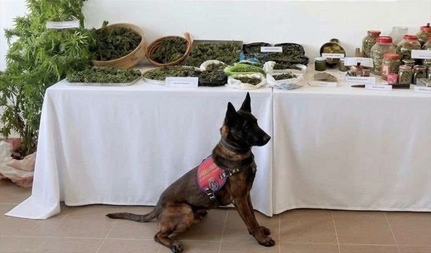Çanakkale'de uyuşturucu operasyonunda bir şüpheli yakalandı
