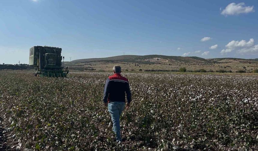 Aliağa'da beyaz altın hasadı başladı