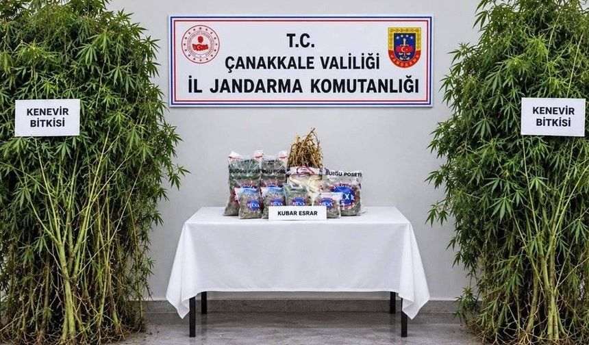 Çanakkale'de uyuşturucu operasyonuna 1 tutuklama