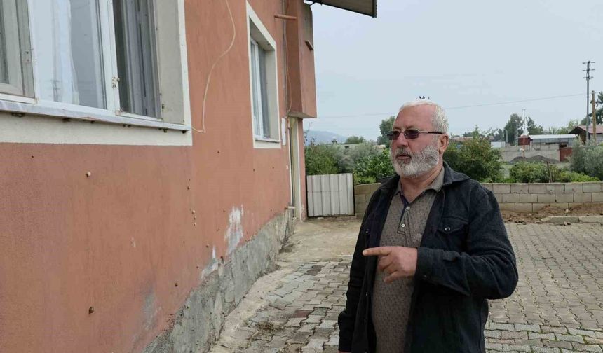 Depremin ardından ortaya çıkan salyangozlar mahalleyi ele geçirdi
