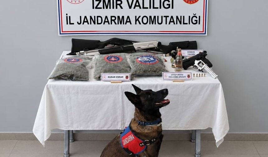 İzmir'de jandarmadan uyuşturucu operasyonu