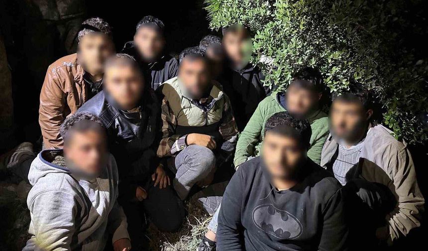 Jandarma ve MİT'ten ortak operasyon: 11 göçmen yakalandı