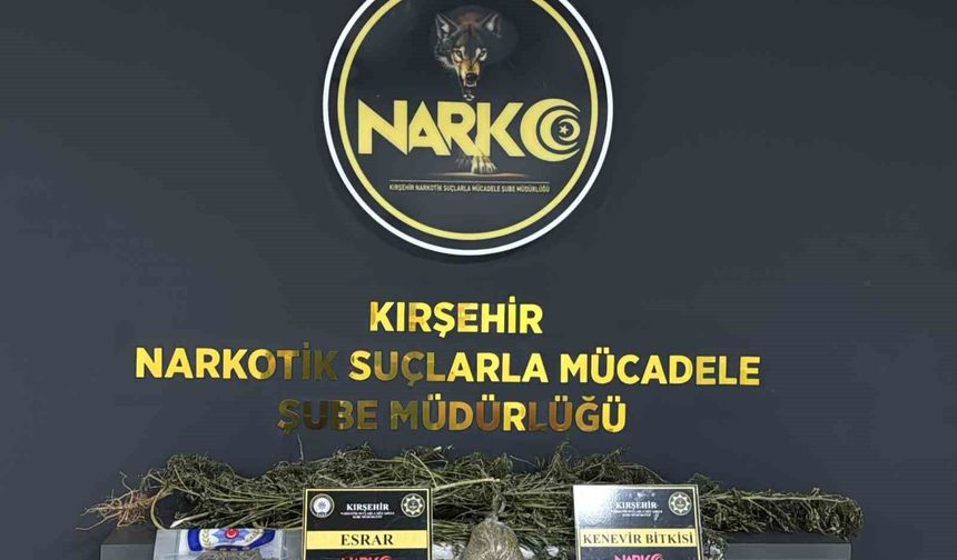 Kırşehir'de uyuşturucu operasyonu: 1 tutuklama