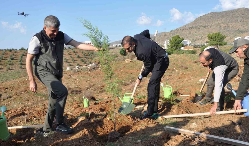 Silifke'de Şehit Savcı Mehmet Selim Kiraz Hatıra Ormanı yeniden yeşilleniyor