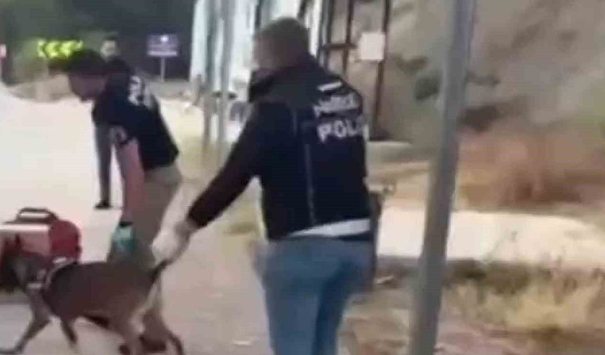 Sinop uyuşturucu operasyonu: 3 tutuklama