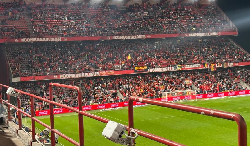 A Milli Futbol Takımı, Belçika'ya 3-0 mağlup oldu