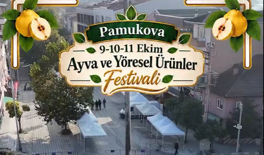 Sakarya’da festival heyecanı: 7. Pamukova Ayva Festivali kapılarını açıyor