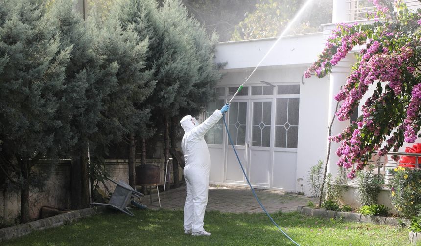 Erenler Belediyesi kahverengi kokarca ilaçlamasına devam ediyor