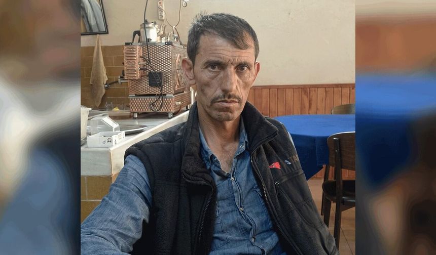 Ormandaki Kaza Acı Bitti: 4 aylık yaşam mücadelesi son buldu