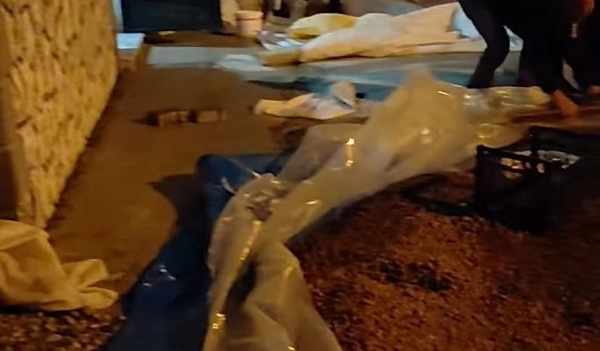 Akyazılı fındık üreticisinden sert tepki:" Tüccar fiyatı düşük,çileyiz biz çekiyoruz"